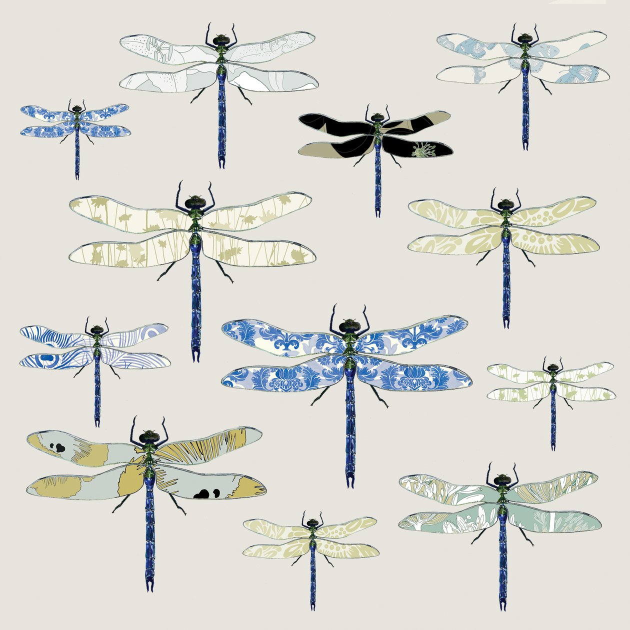 Odonata, 2008 - Sarah Hough