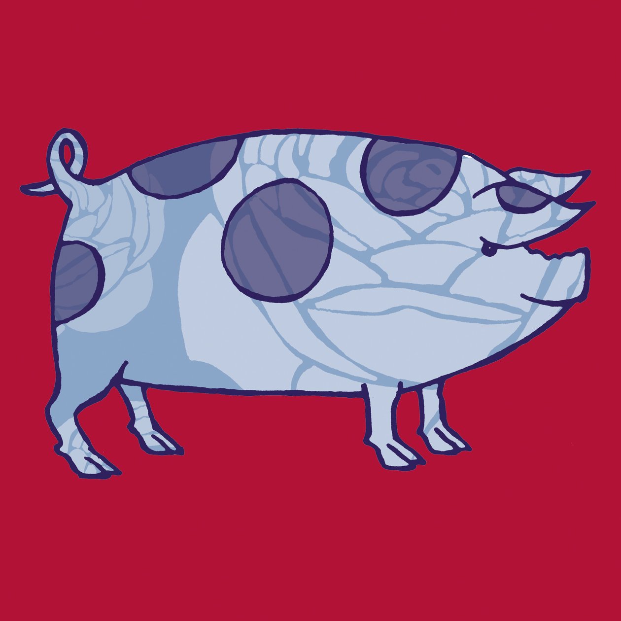 Cochon de la vallée de Piddle, 2005 - Sarah Hough