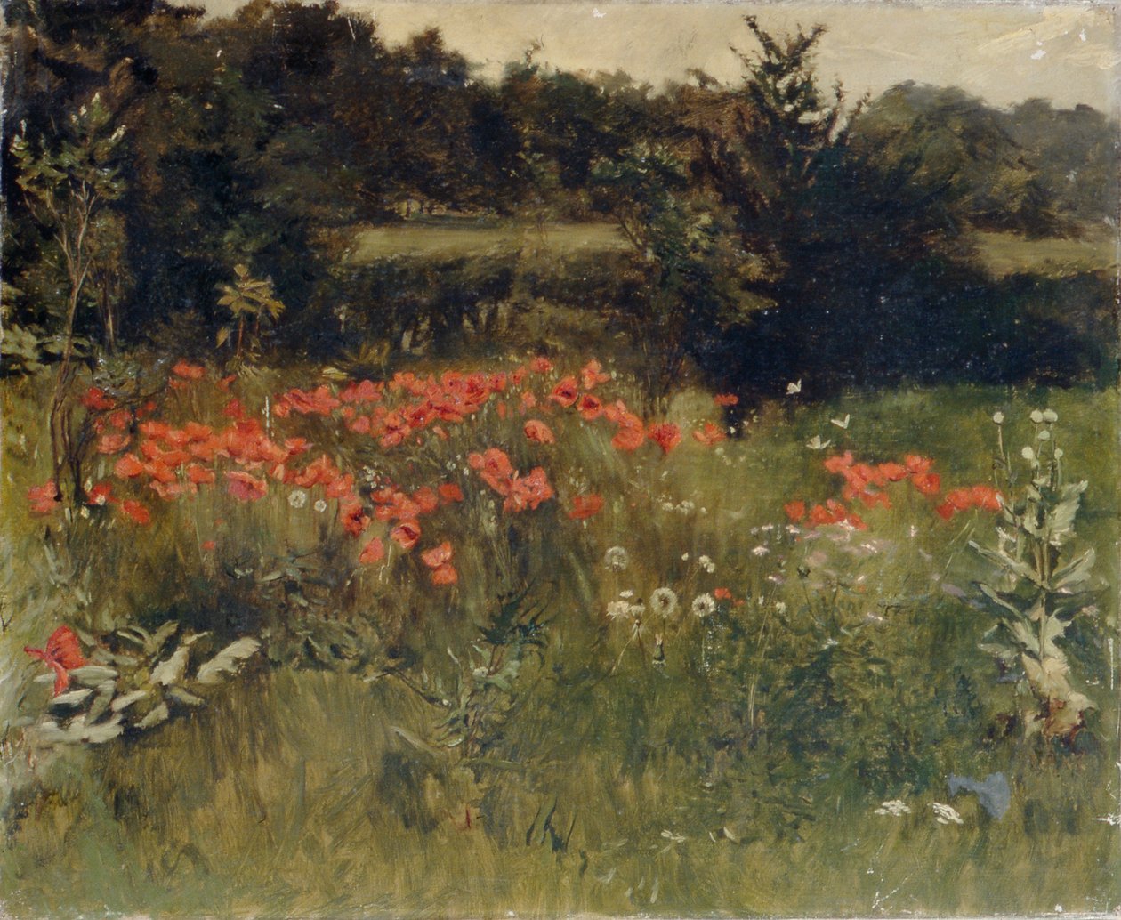 Coquelicots, Reigate - Sarah Paxton Ball Dodson