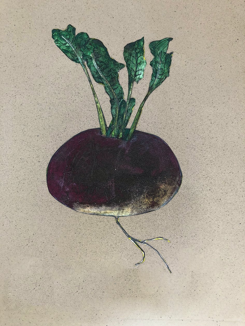 Navet, 2024 (huile sur toile) - Sarah Thompson Engels