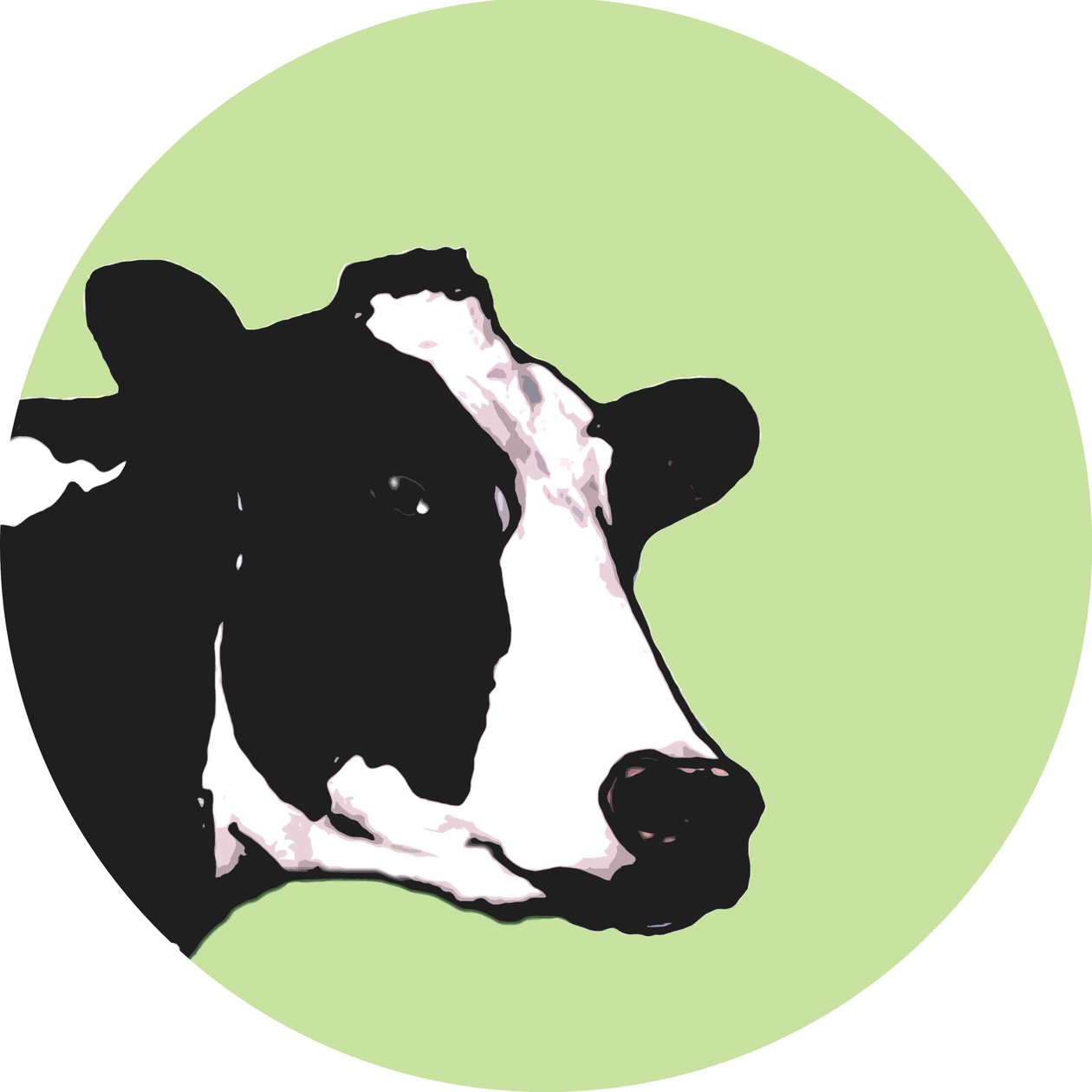 Vache - Sarah Thompson Engels