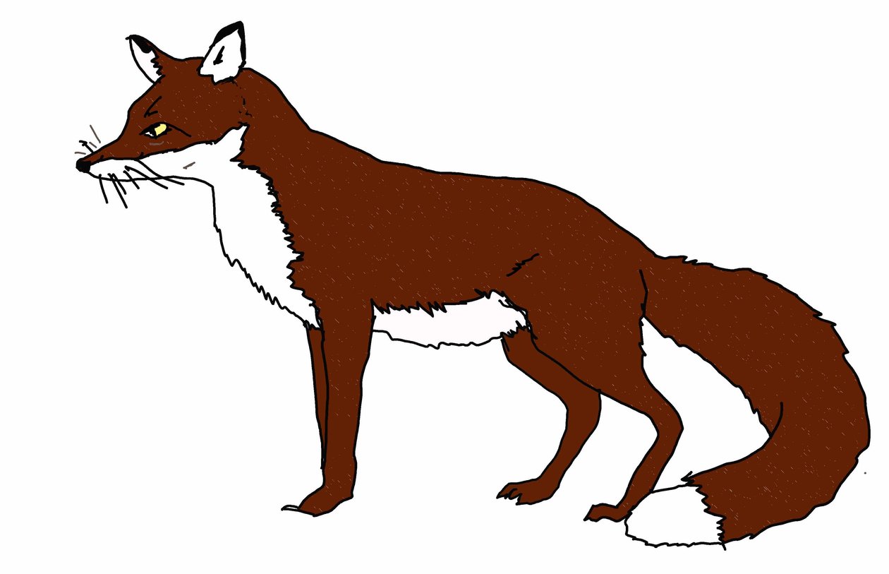 Renard, 2018 - Sarah Thompson Engels