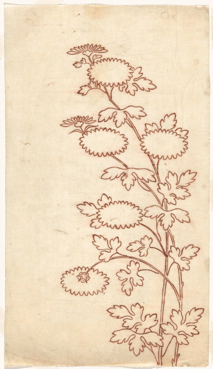 Chrysanthèmes - Sasaya (workshop of)
