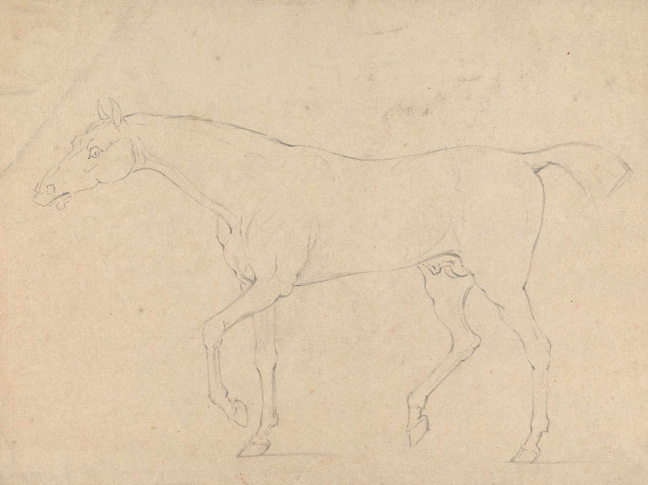 Un cheval - Sawrey Gilpin
