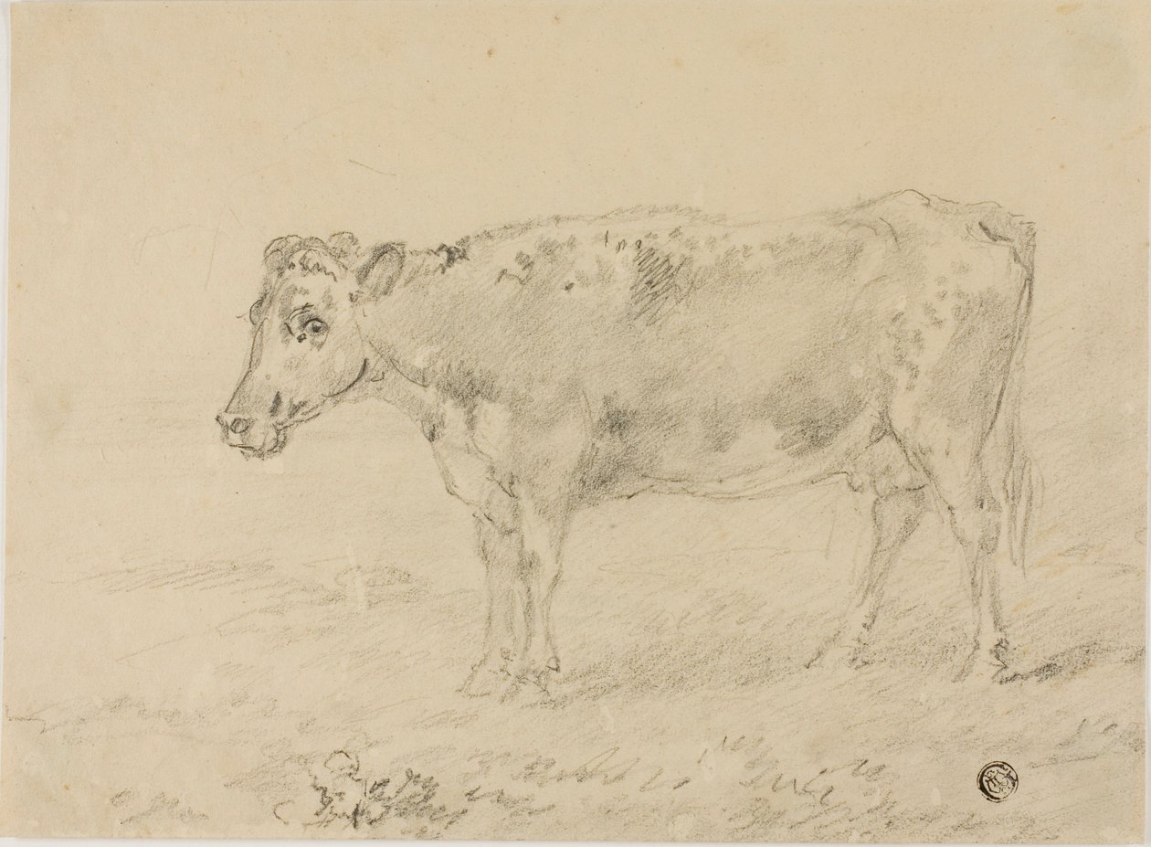 Vache - Sawrey Gilpin