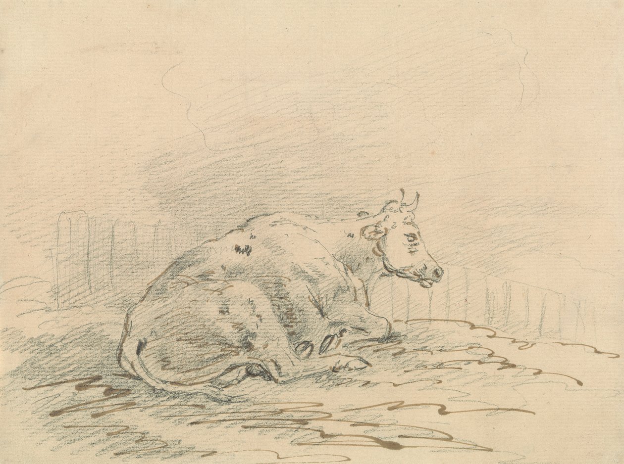 Vache couchée près d