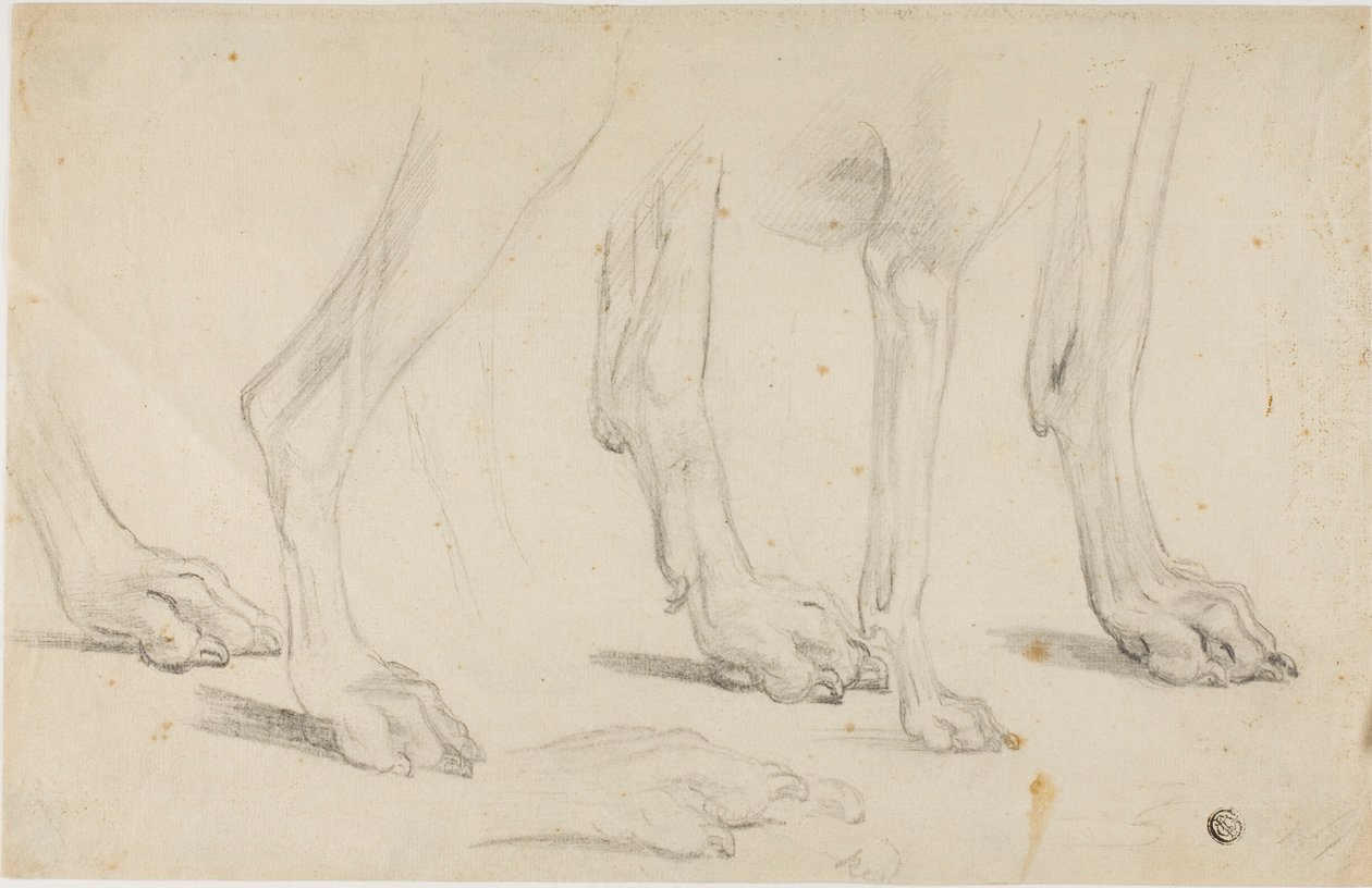 Pattes de chien - Sawrey Gilpin
