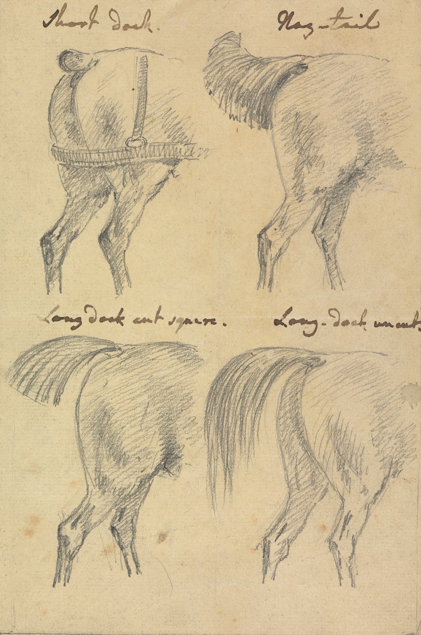 Quatre croquis de queues de cheval - Sawrey Gilpin