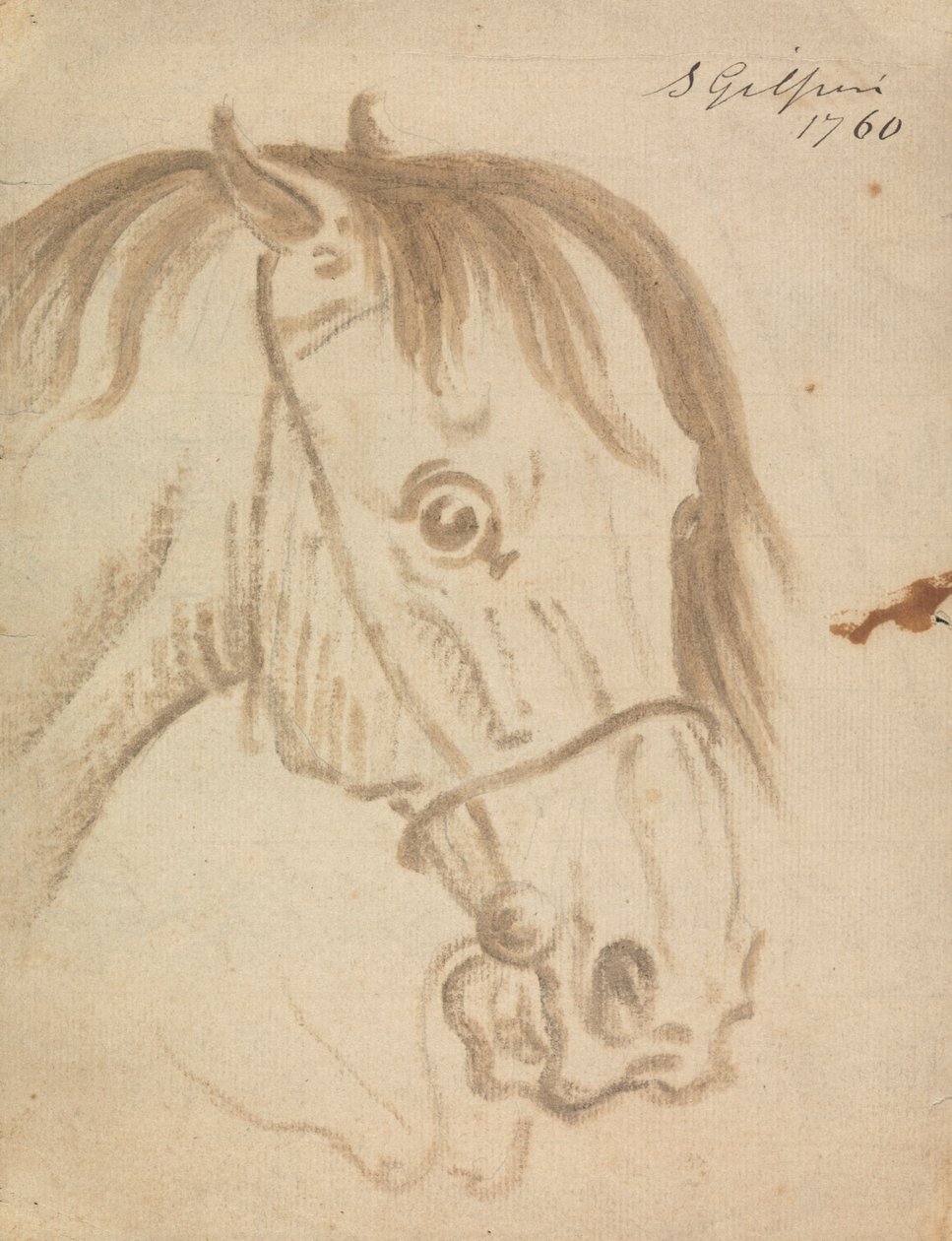 Tête de cheval - Sawrey Gilpin