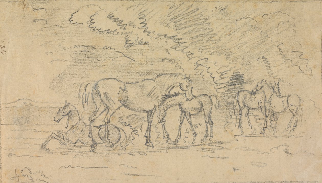 Chevaux dans un pré - Sawrey Gilpin