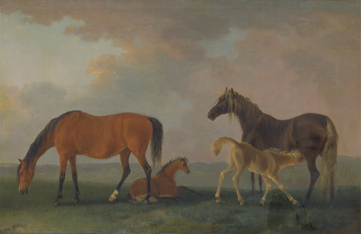 Juments et poulains, face à gauche - Sawrey Gilpin