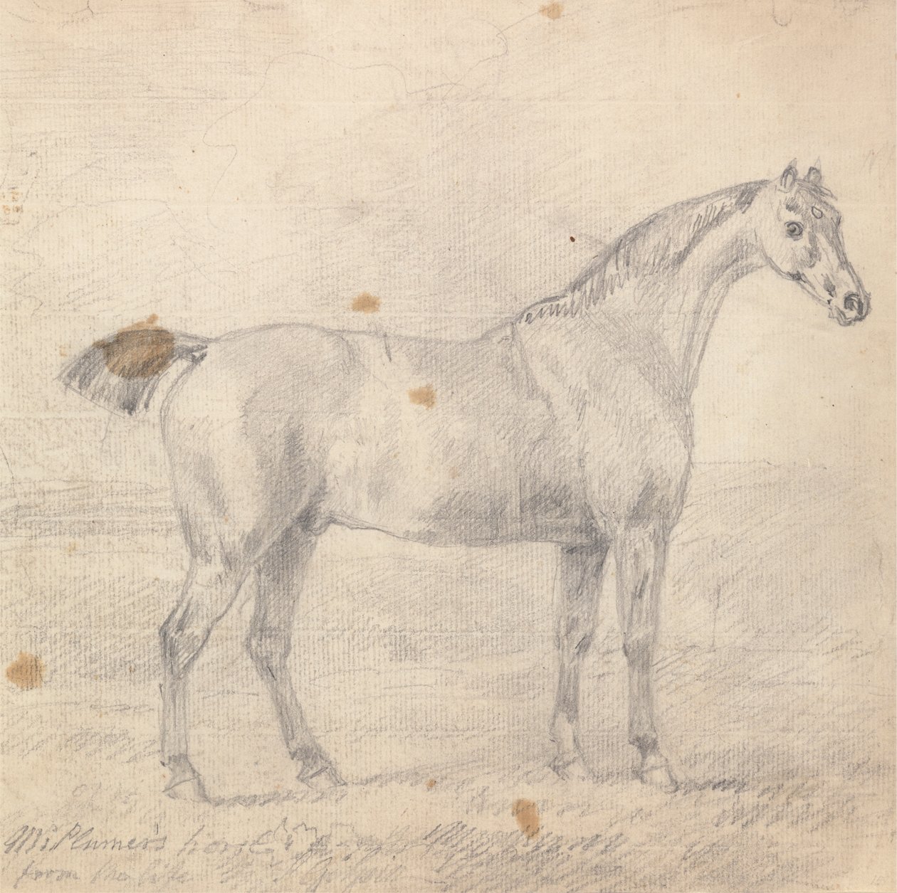 Le cheval de M. Plumer - Sawrey Gilpin