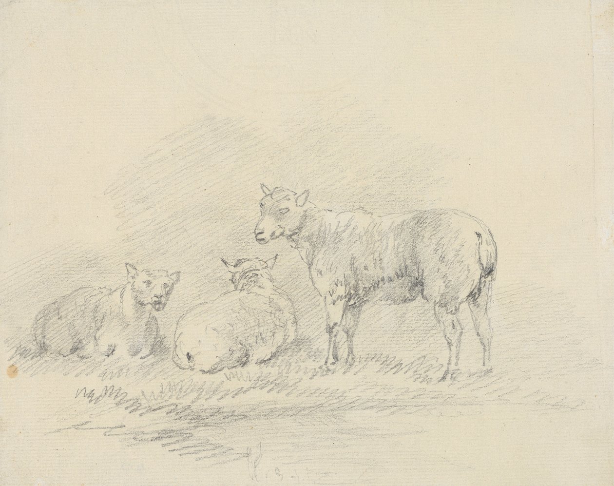 Trois moutons - Sawrey Gilpin