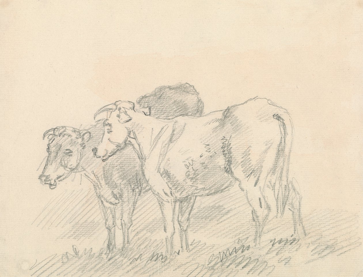 Deux Vaches - Sawrey Gilpin