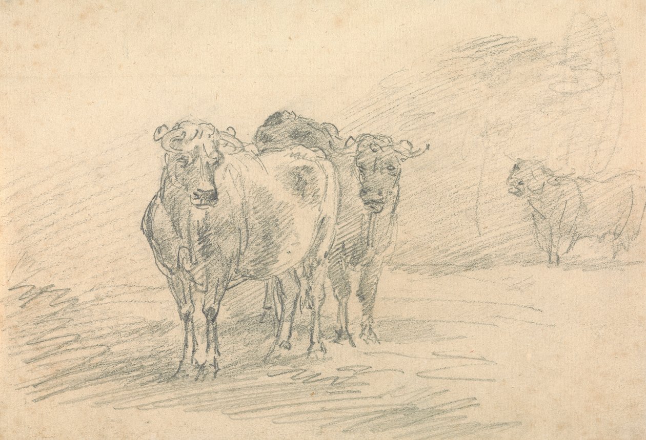 Deux vaches sur une colline - Sawrey Gilpin