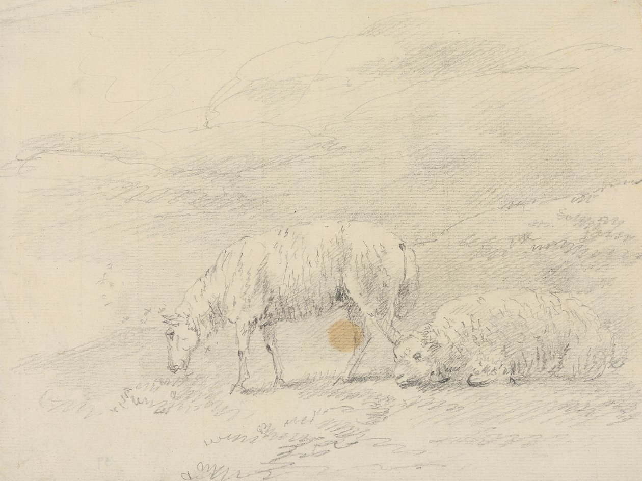 Deux moutons - Sawrey Gilpin