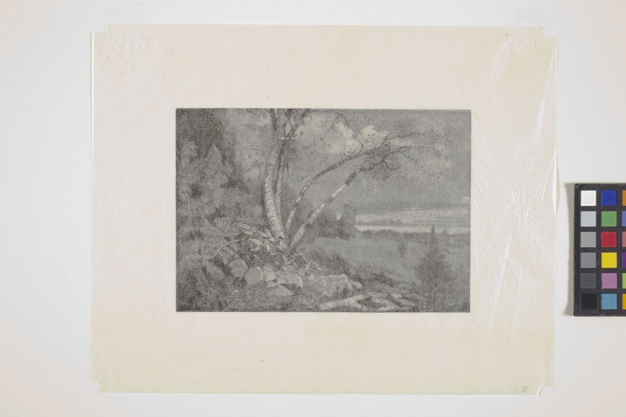 Paysage - School American