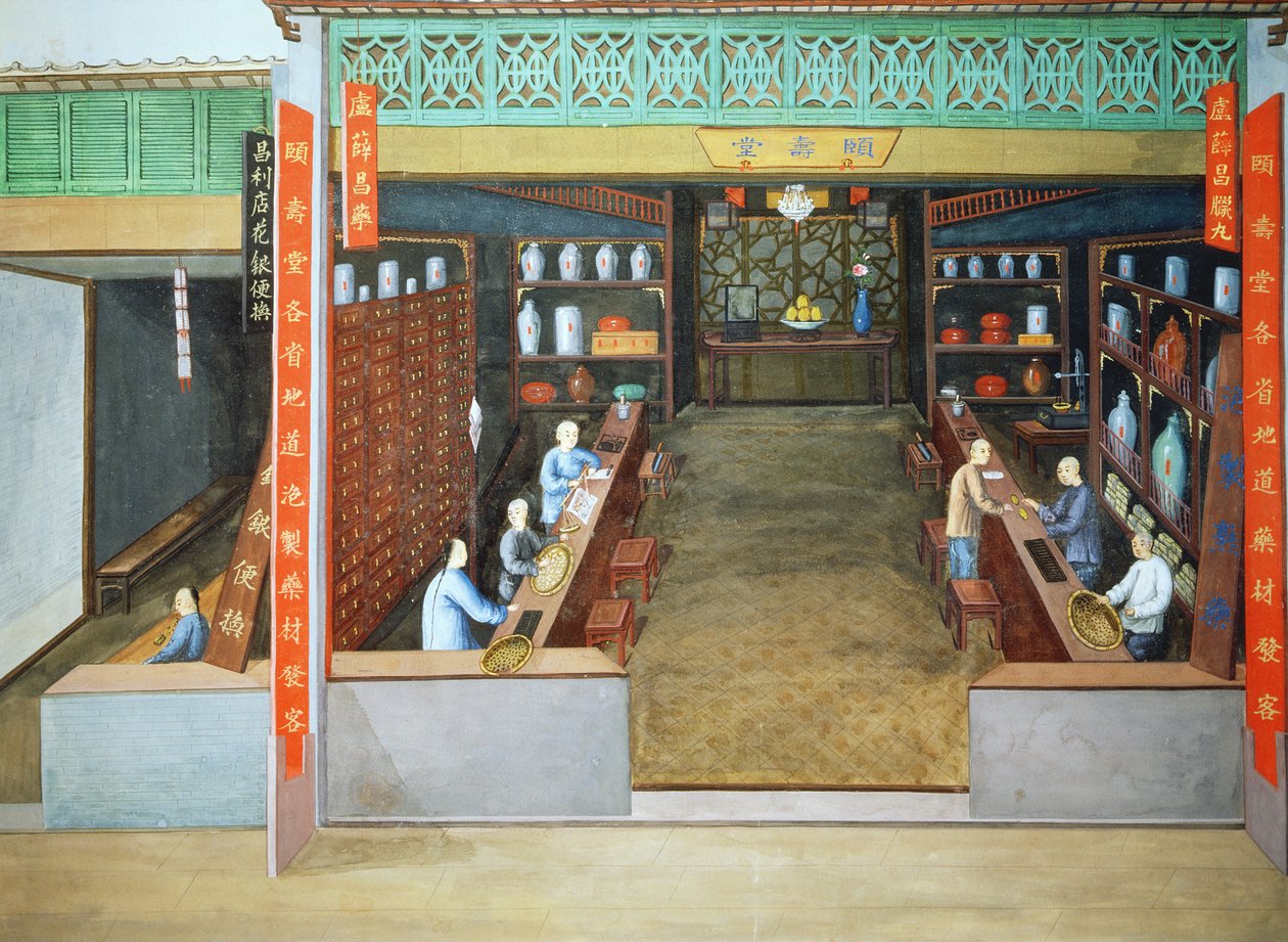 Médecine chinoise, vers 1830 (gouache sur papier) - School Chinese
