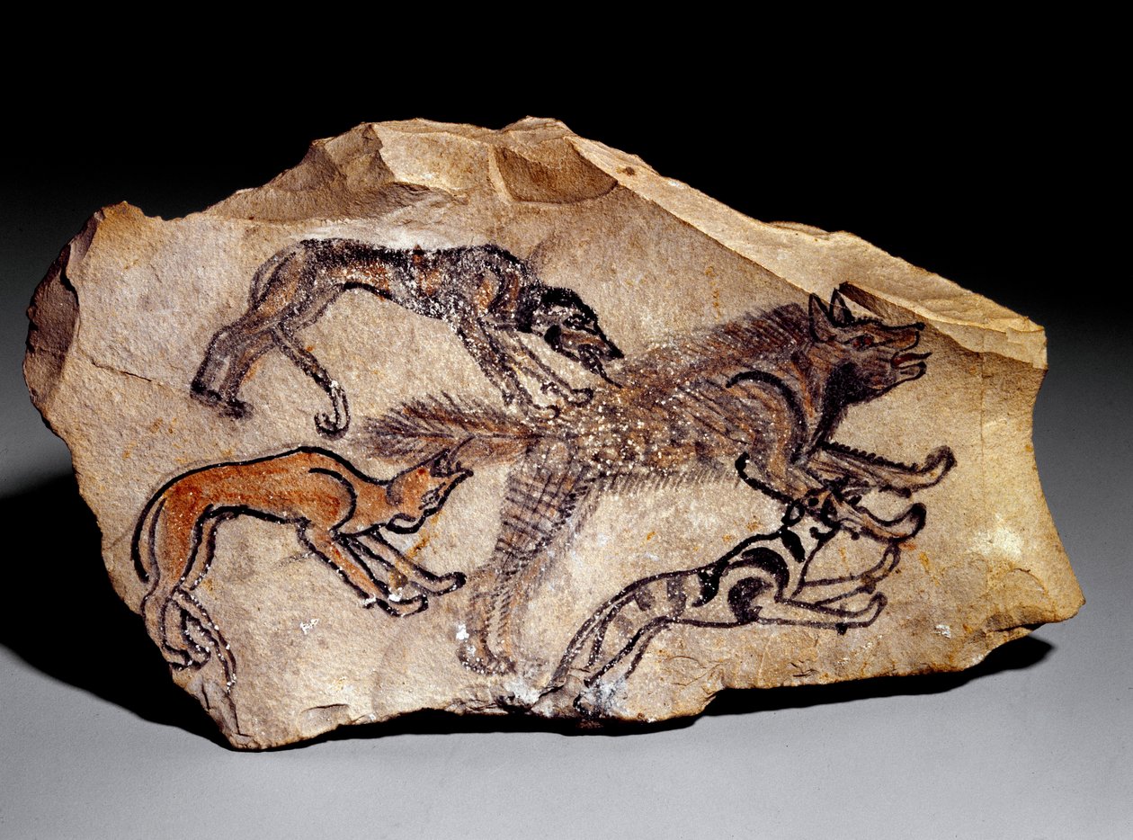 Chiens chassant la hyène (gravure sur pierre, vers 1300-1100 av. J.-C.) - School Egyptian