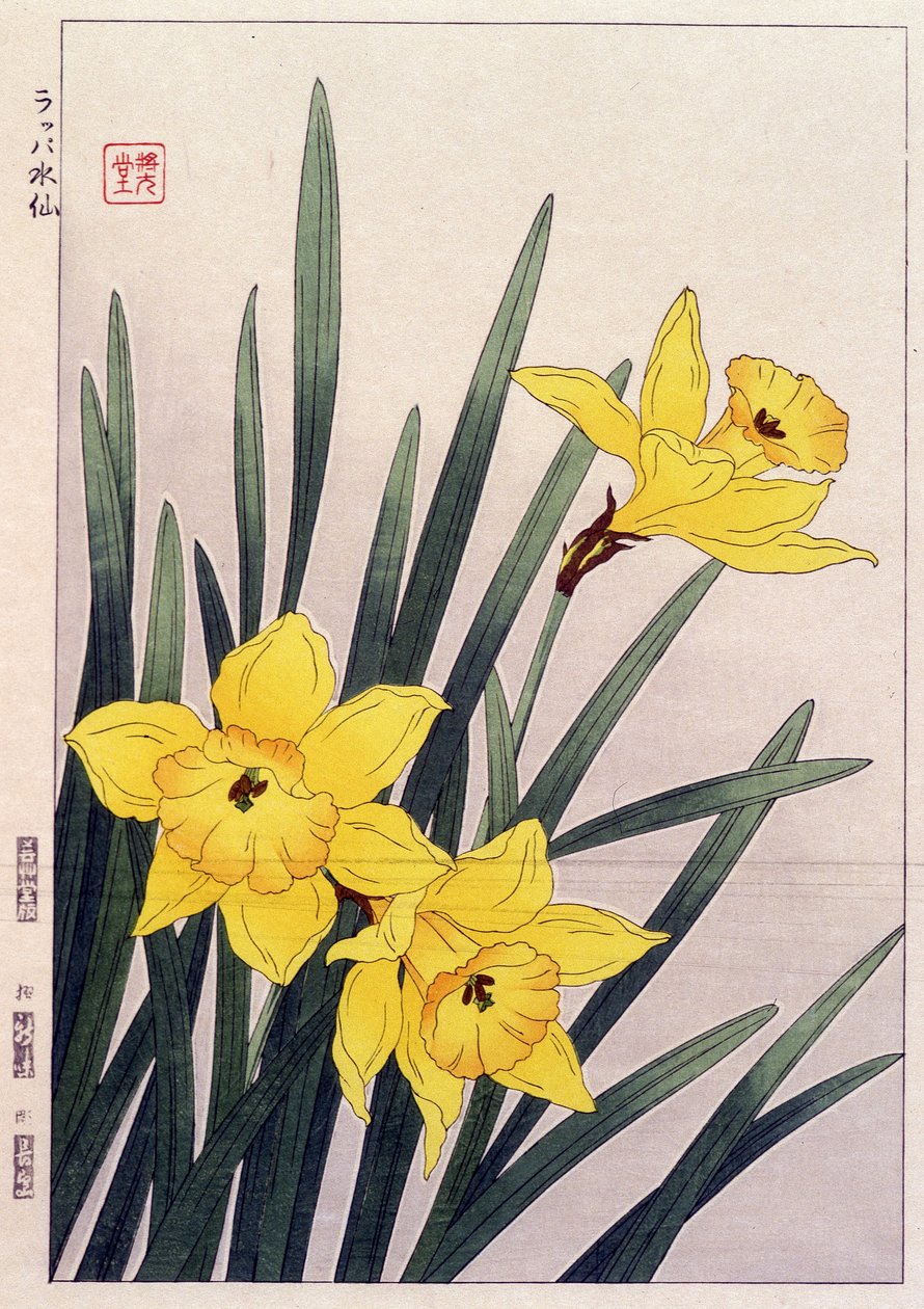 Jonquilles en gros plan - Estampe japonaise - Japanese School