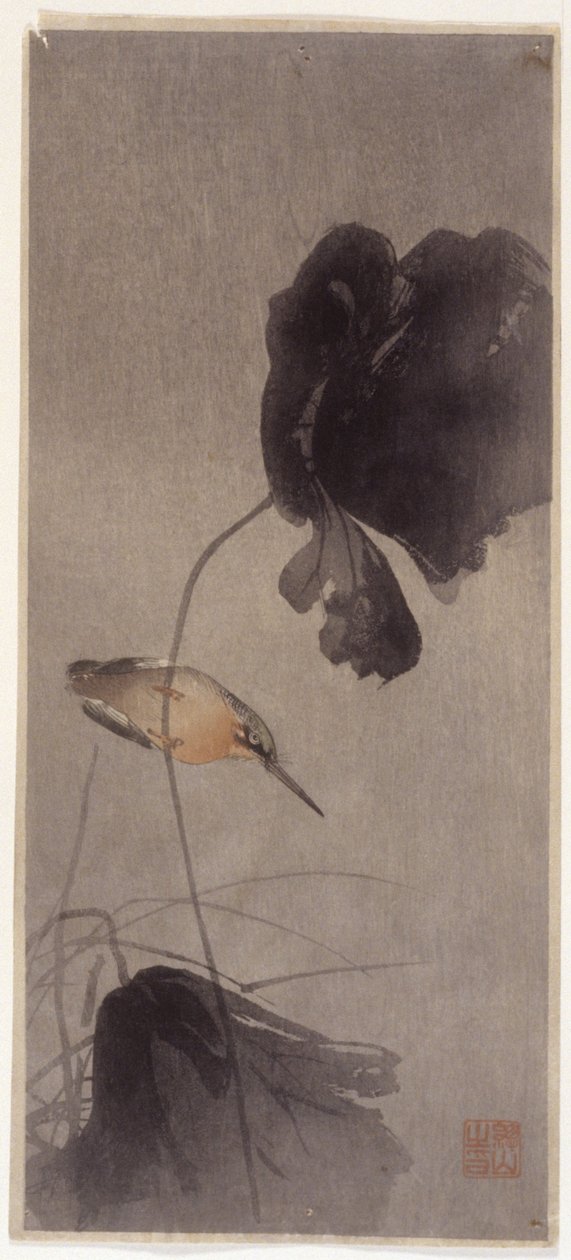 Martin-pêcheur - School Japanese