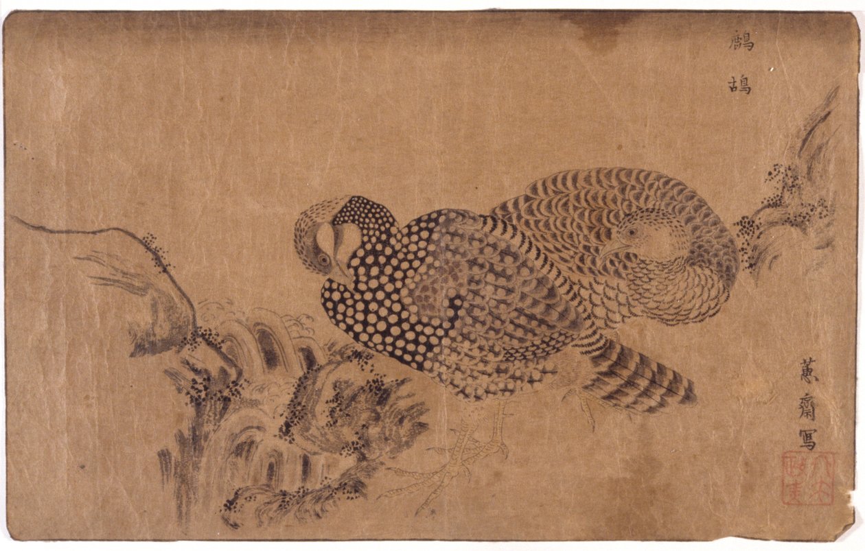 Deux oiseaux - School Japanese