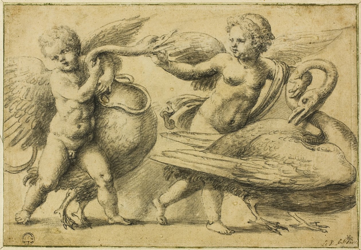 Putti jouant avec des cygnes - School of Raphael