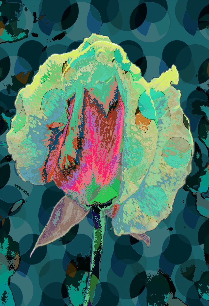 Rose de thé 4 - Scott J. Davis