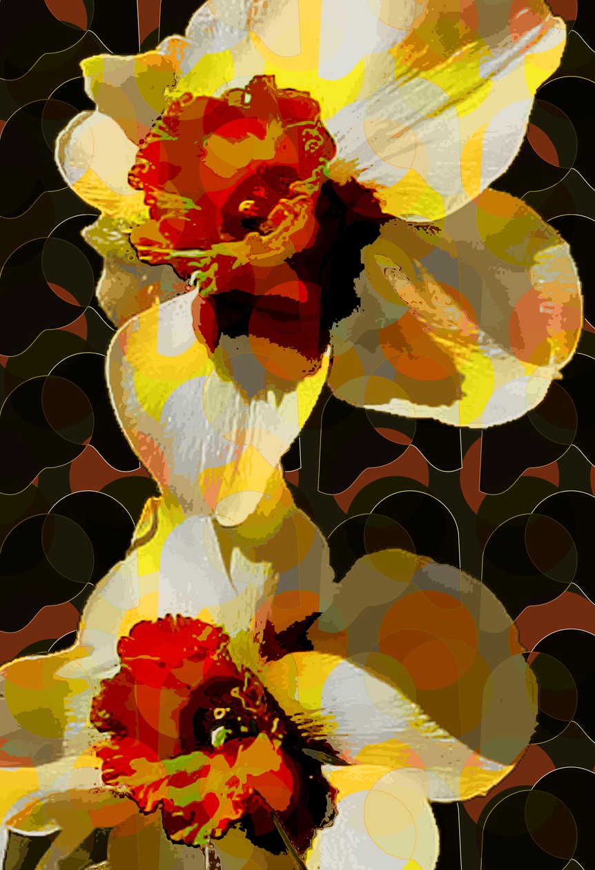 Jonquille - Scott J. Davis