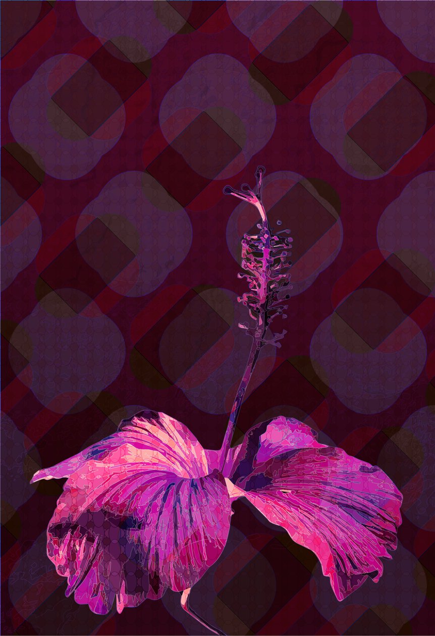 Hibiscus, 2019 - Scott J. Davis
