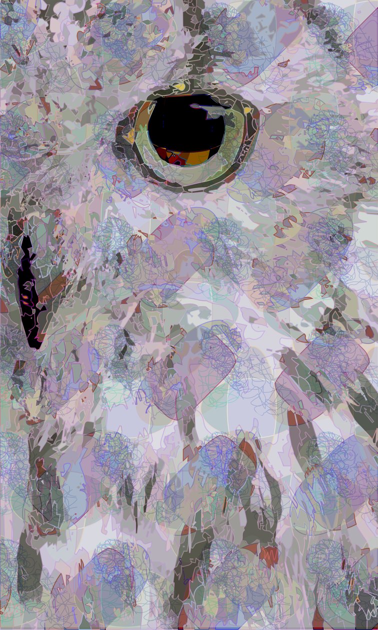 Chouette3 - Scott J. Davis