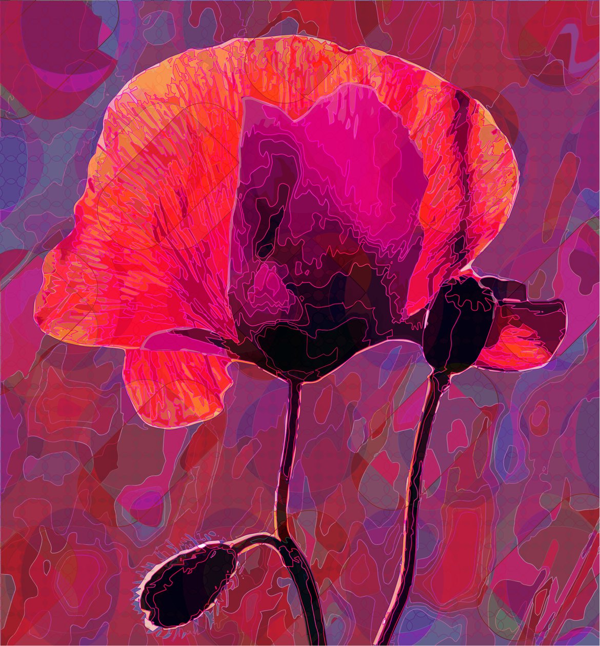 Coquelicot, 2020 - Scott J. Davis