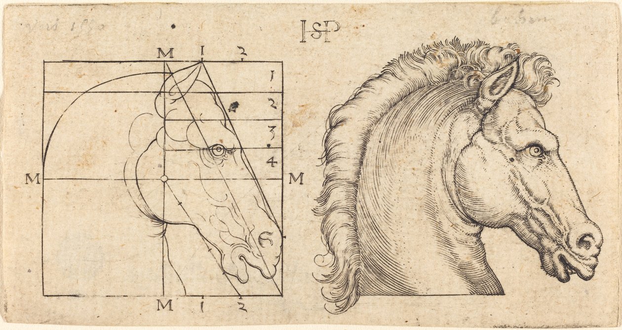 Deux têtes de cheval - Sebald Beham