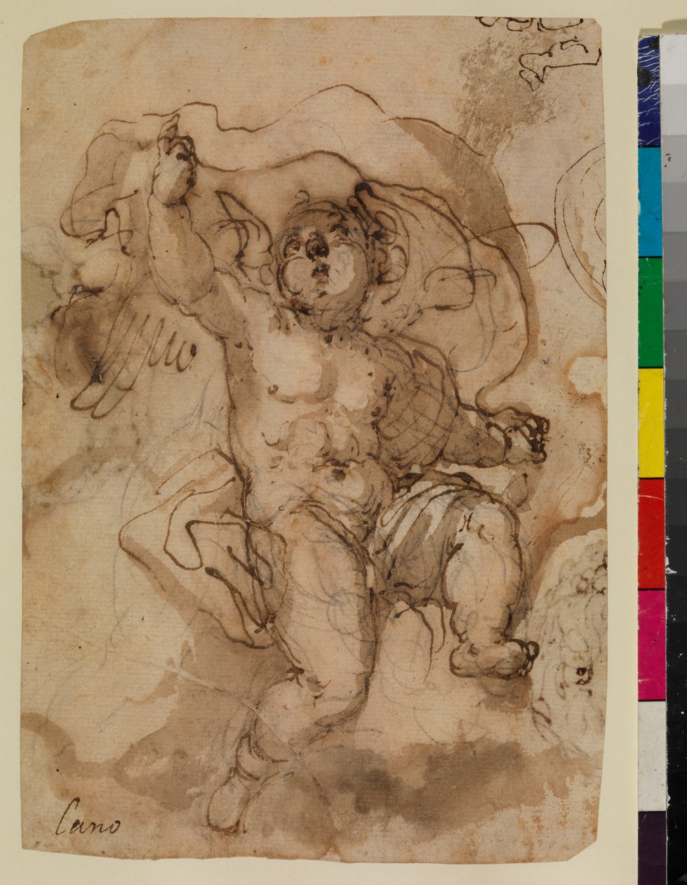 Putto sur un nuage (recto) - Sebastian (attr.to) Munoz