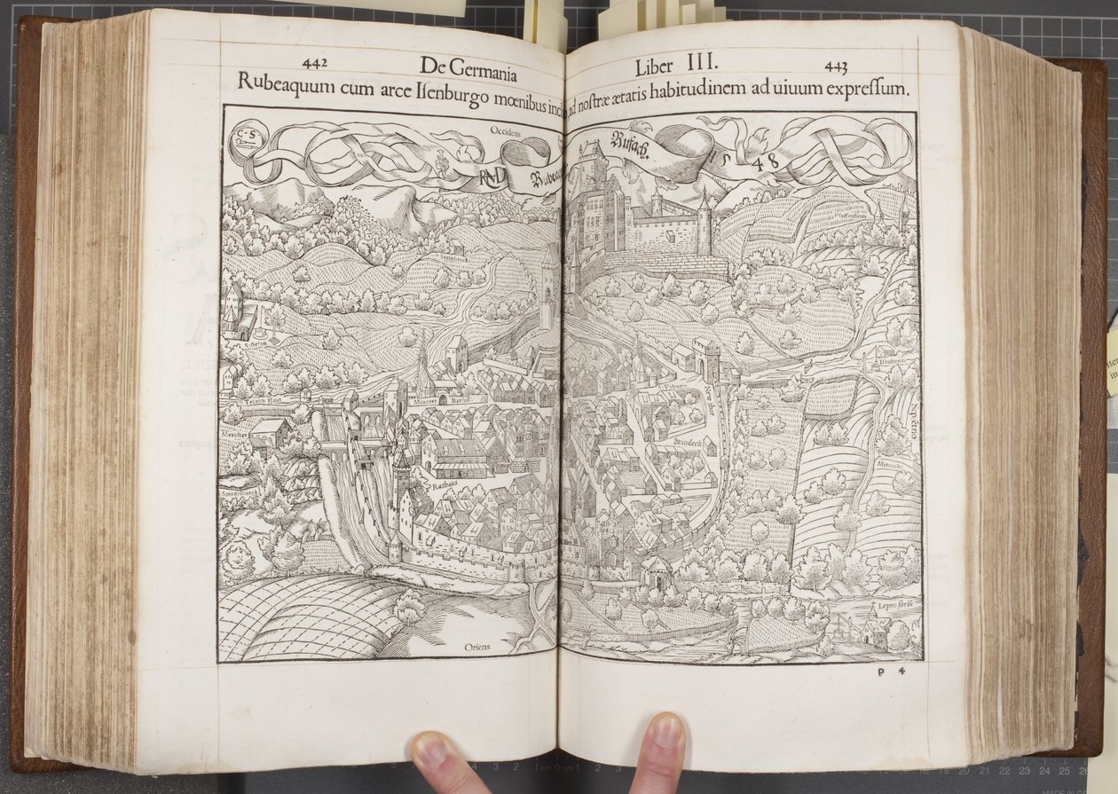 Cosmographia, Fols 442-443 - Sebastian Munster