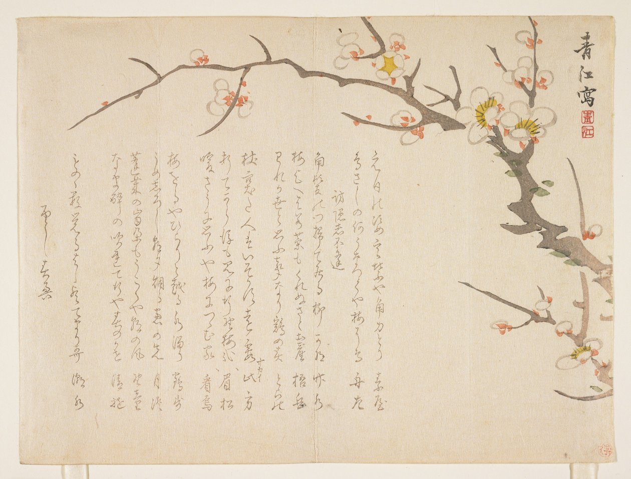 Prunier en fleurs, janvier 1837 - Seik Hashimoto