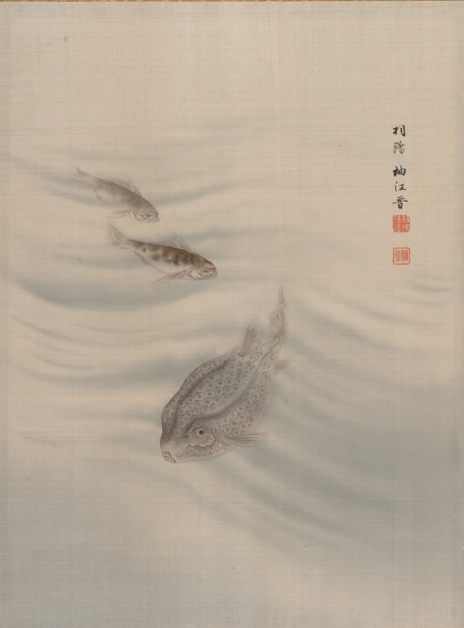Poissons - Seki Shuko