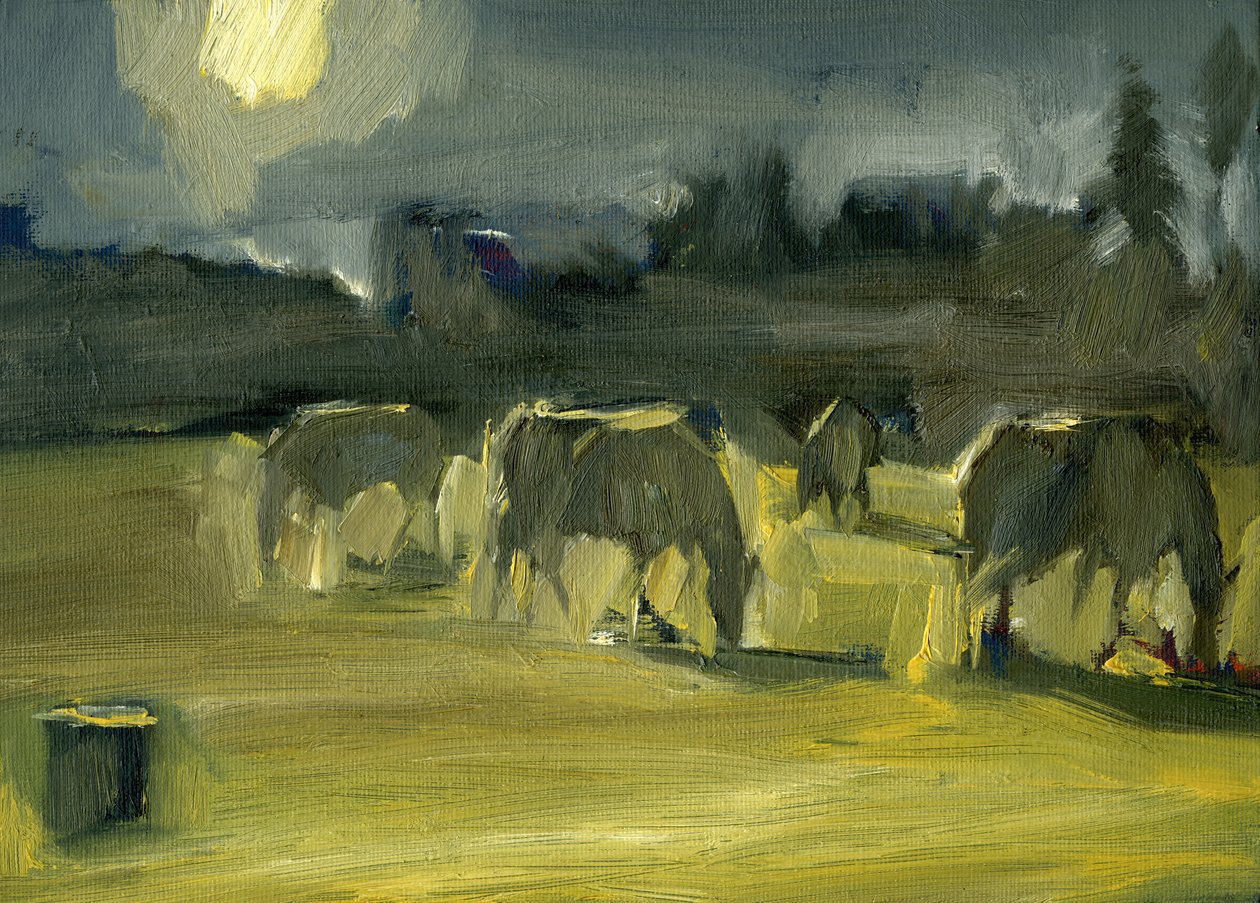 Chevaux d