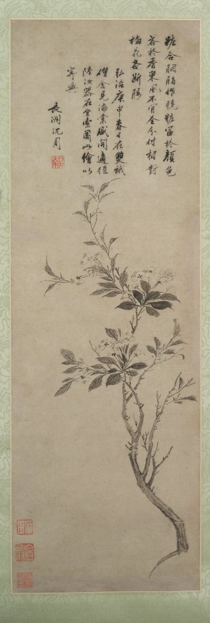 Pommier en fleurs, 1500 - Shen Zhou