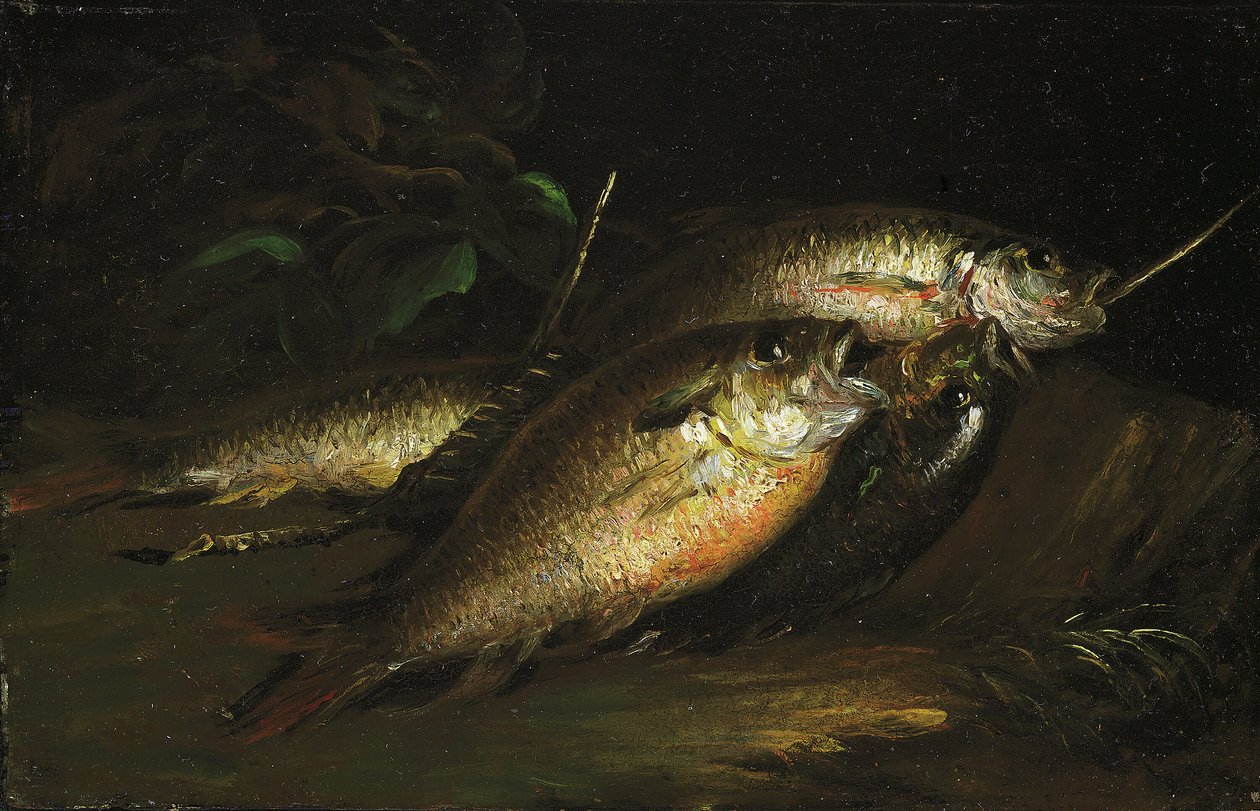 Poisson - Shepard Alonzo Mount