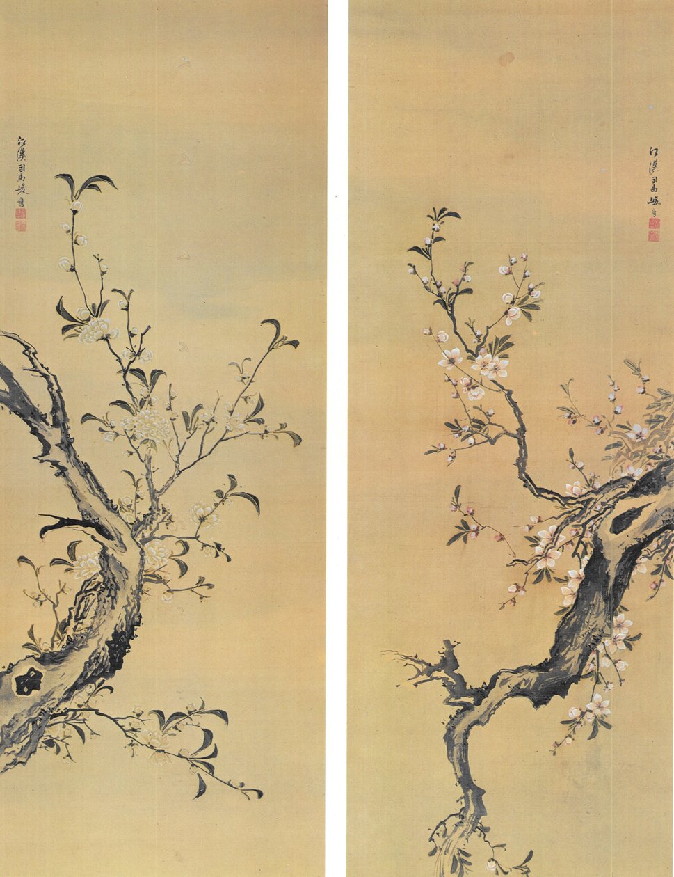 Shiba Kôkan branches d