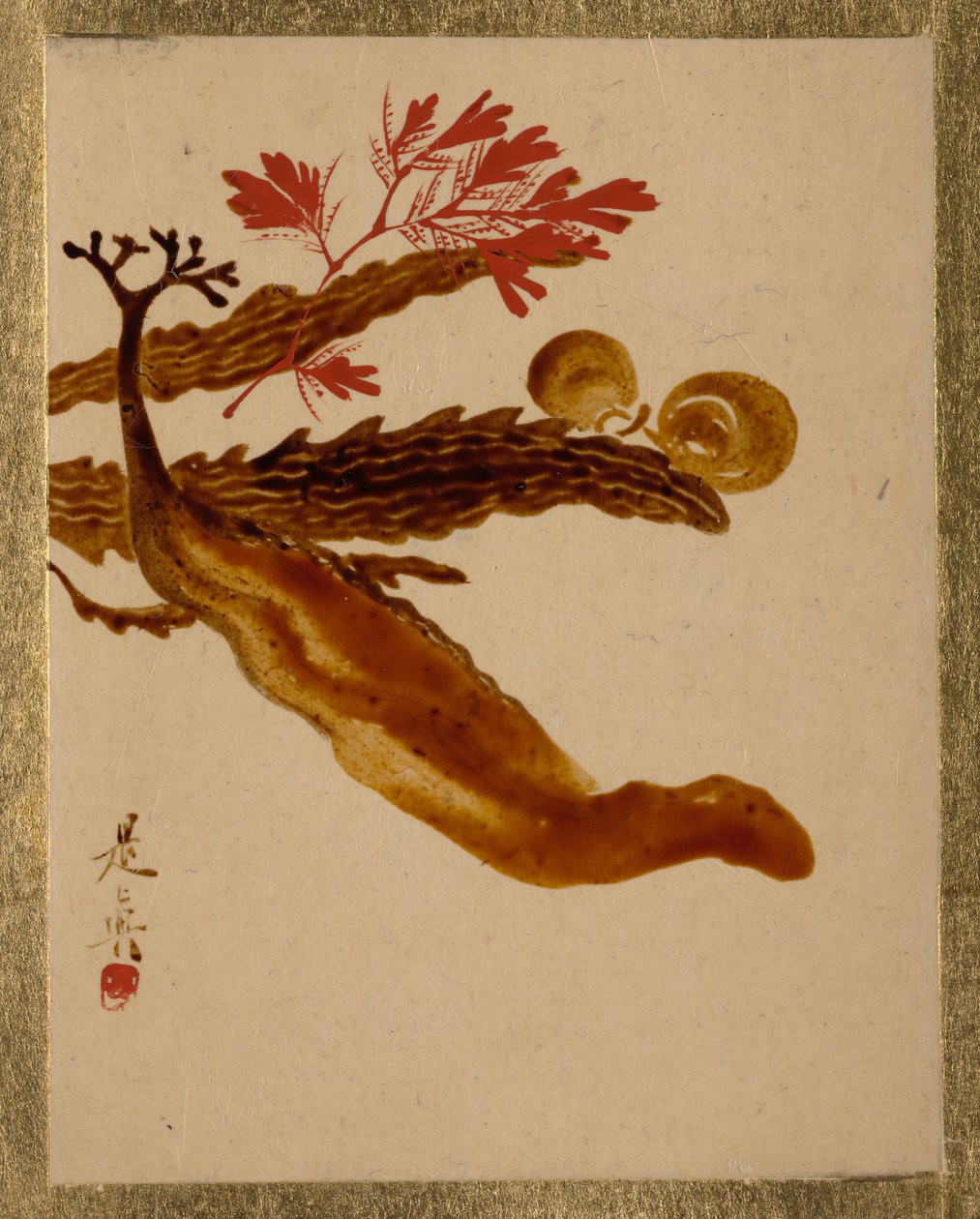 Algues - Shibata Zeshin