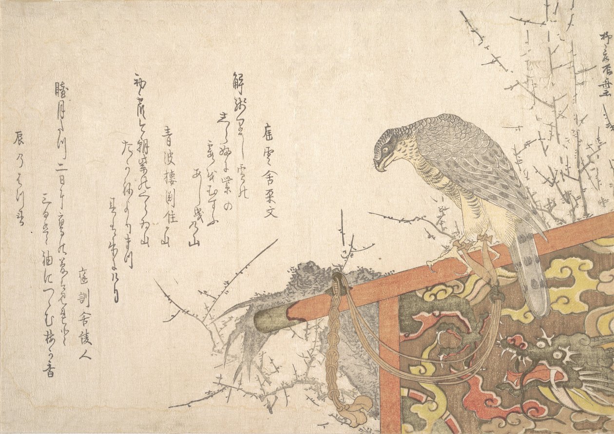 Faucon attaché à un perchoir - Shinsai