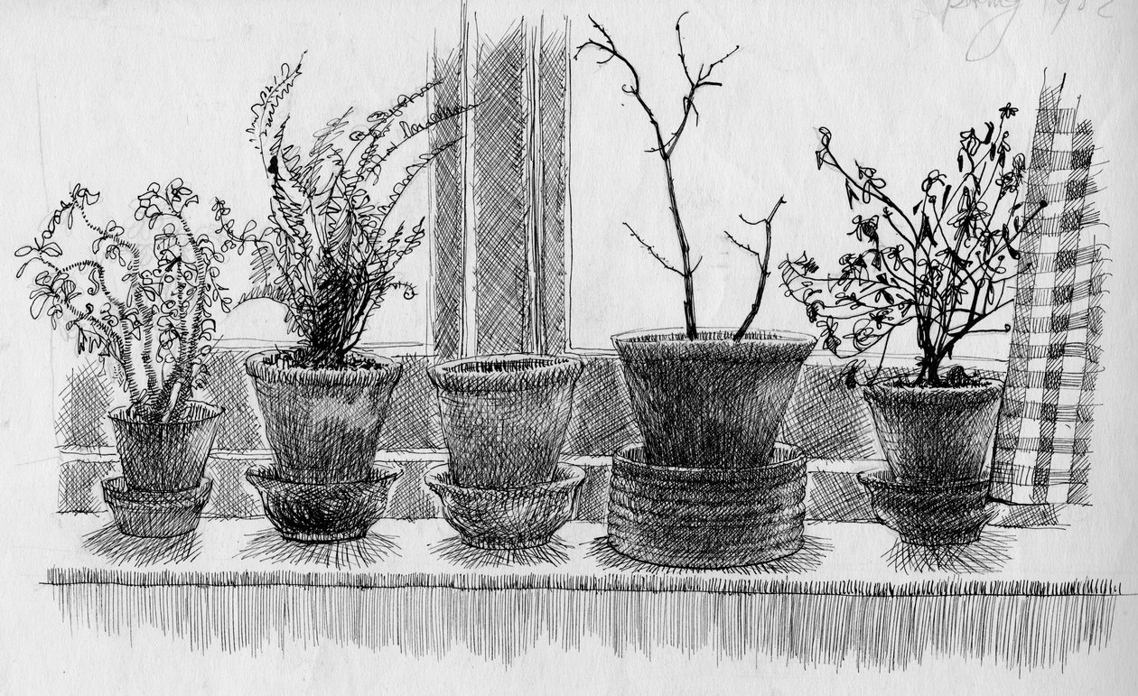 Plantes mortes sur un rebord de fenêtre, 1952 - Shirley Markham