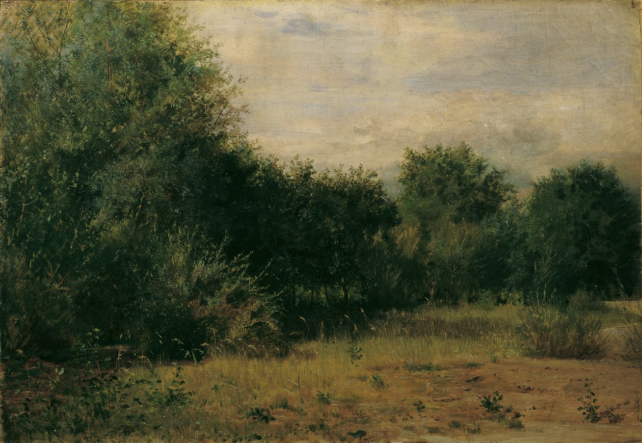 Étude de paysage - Sigmund L