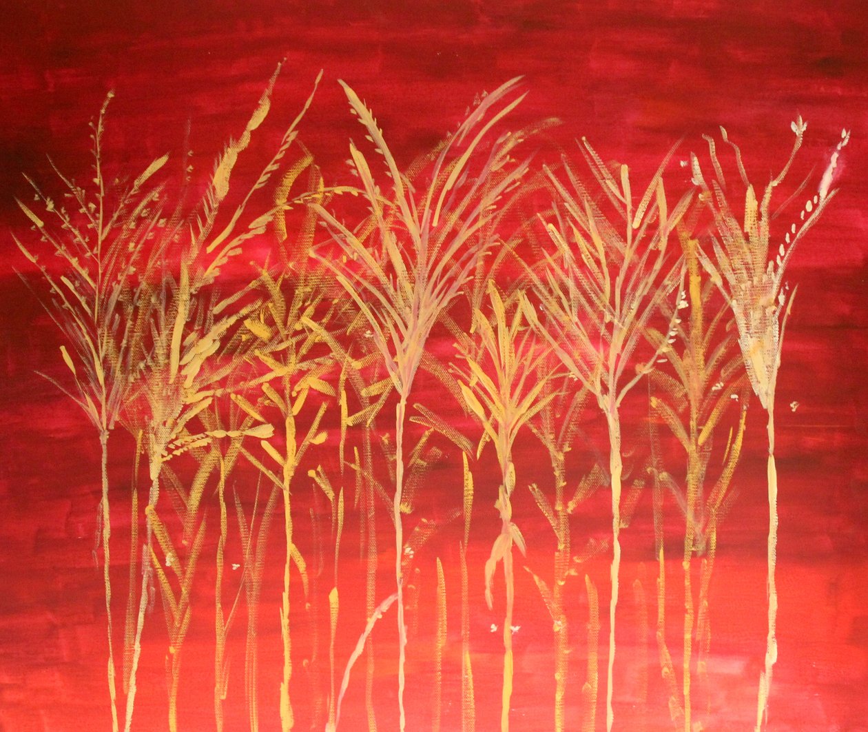 Herbes au crépuscule - Sil A