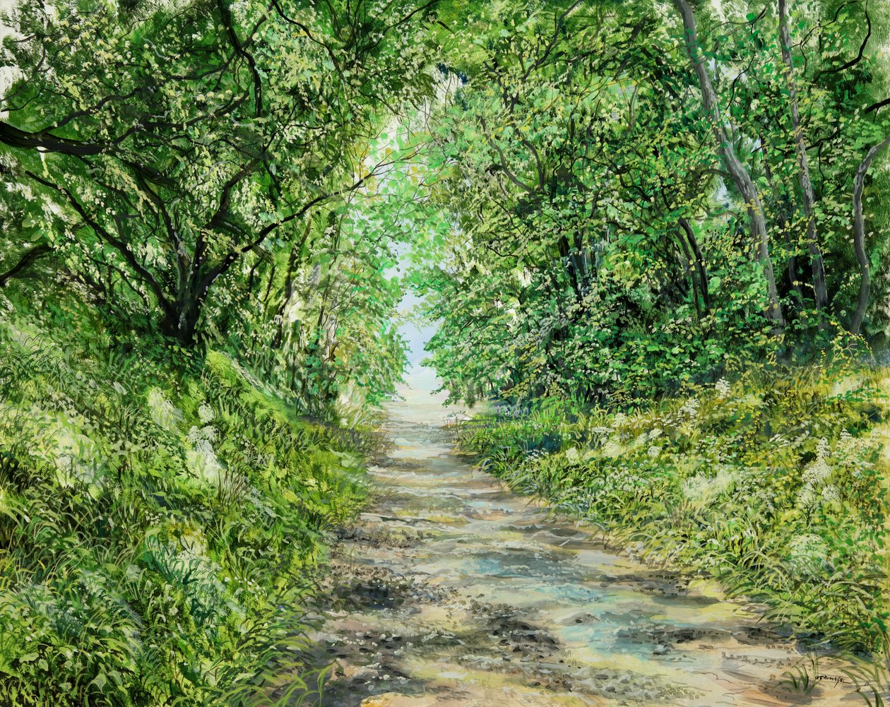 Chemin du tunnel - Silvian Sternhagel