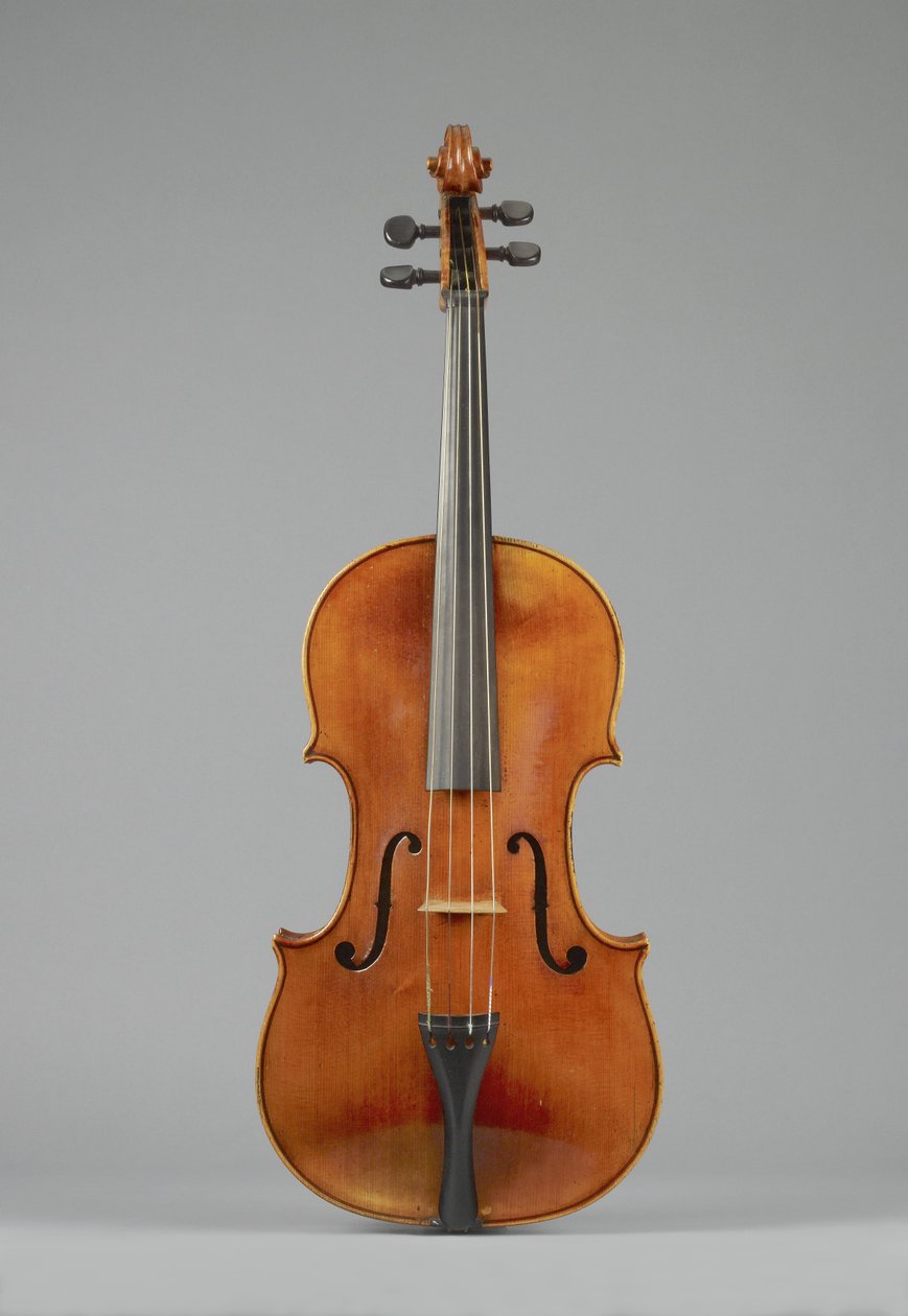 Viola par Simon Andrew Forester - Simon Andrew Forster