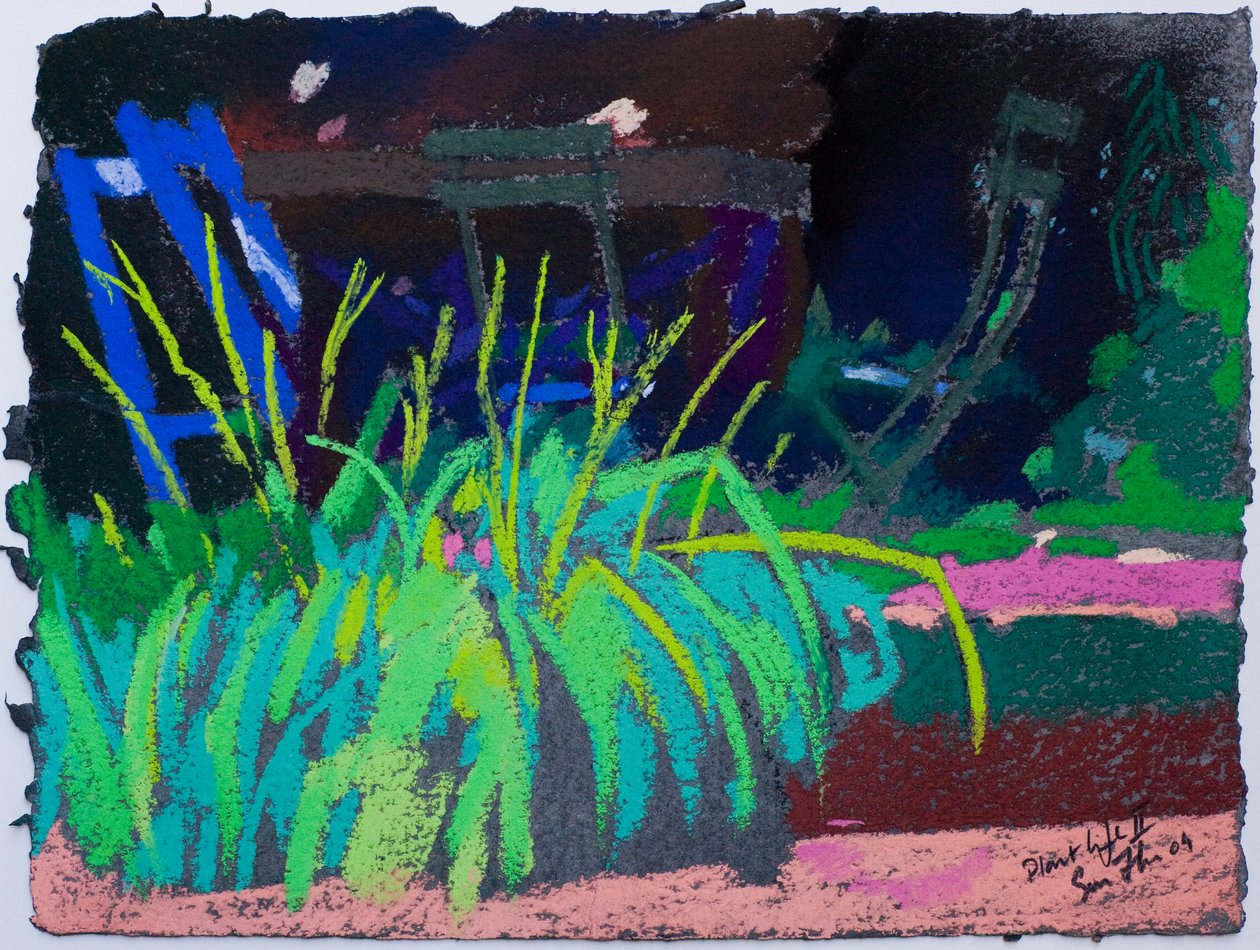 Vie végétale (pastel sur papier) - Simon Fletcher