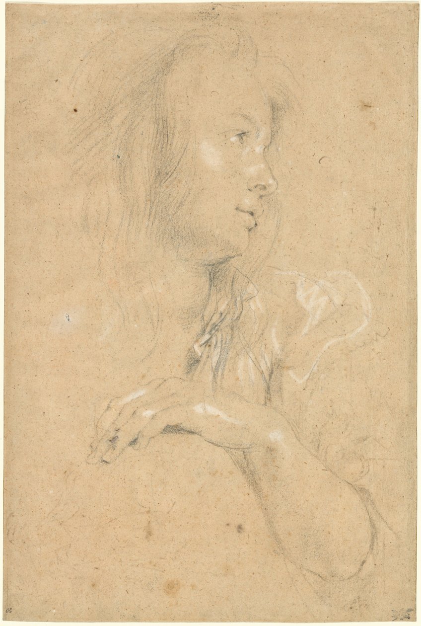 Jeune femme de profil - Sir Peter Paul Rubens